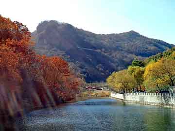 新澳天天开奖资料大全旅游团，广药跳楼